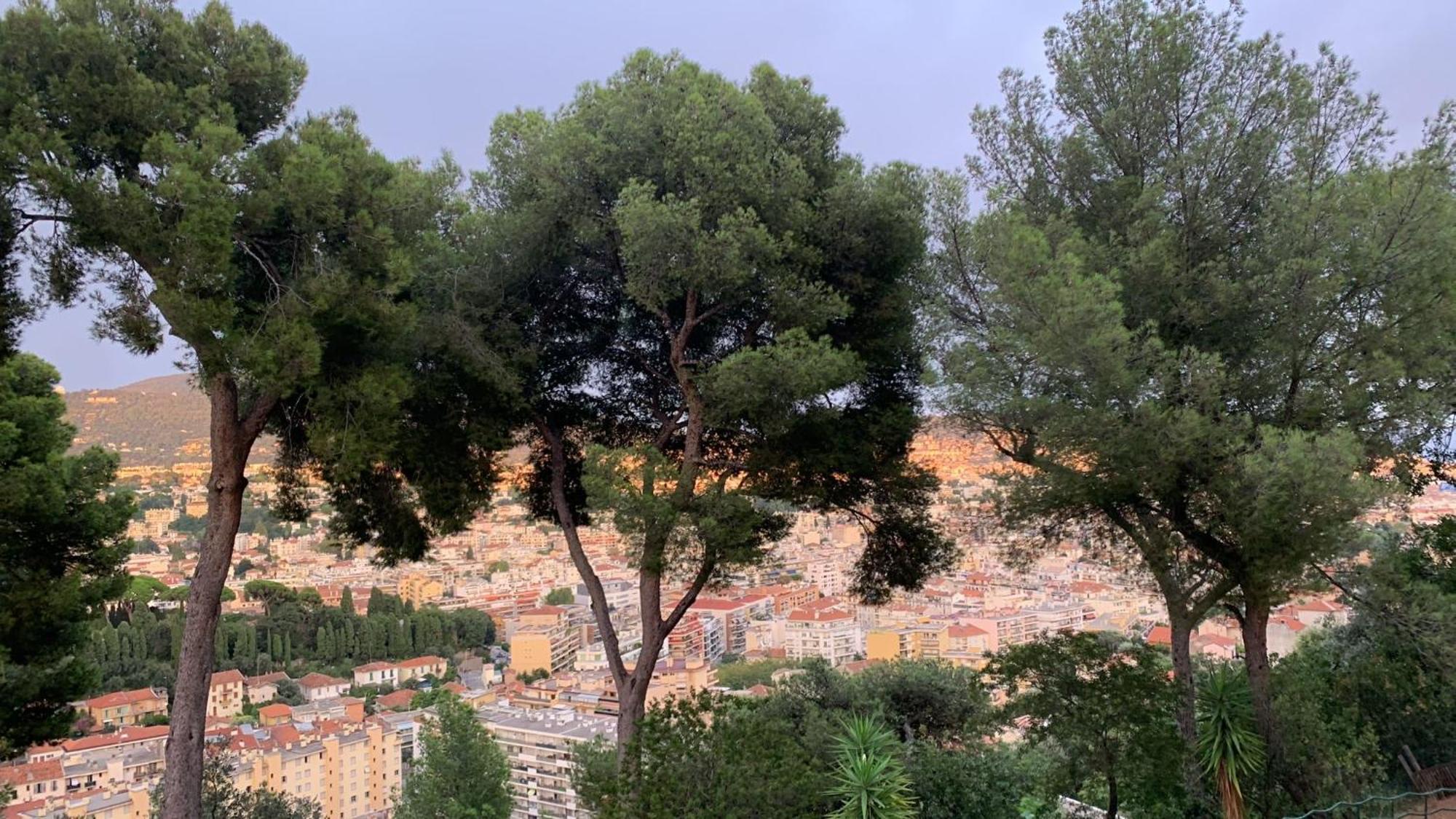 Chambre D Hote Avec Clim Terrasse Et Petit Dejeuner Hauteurs De Nice Bagian luar foto