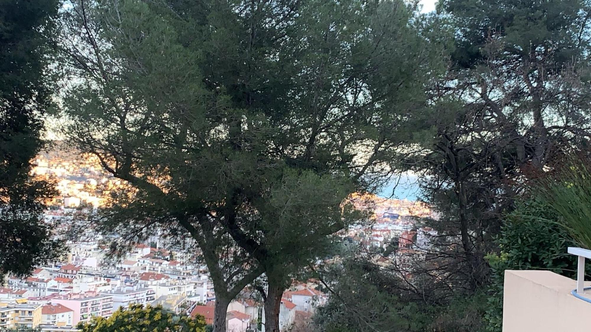Chambre D Hote Avec Clim Terrasse Et Petit Dejeuner Hauteurs De Nice Bagian luar foto